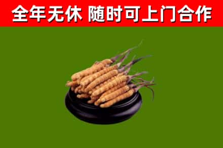 梧州市烟酒回收冬虫夏草.jpg